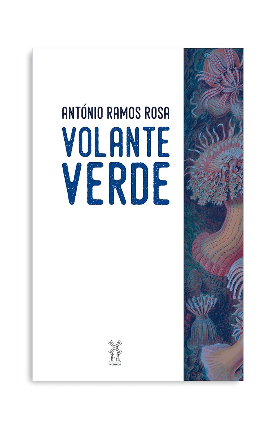 Volante verde