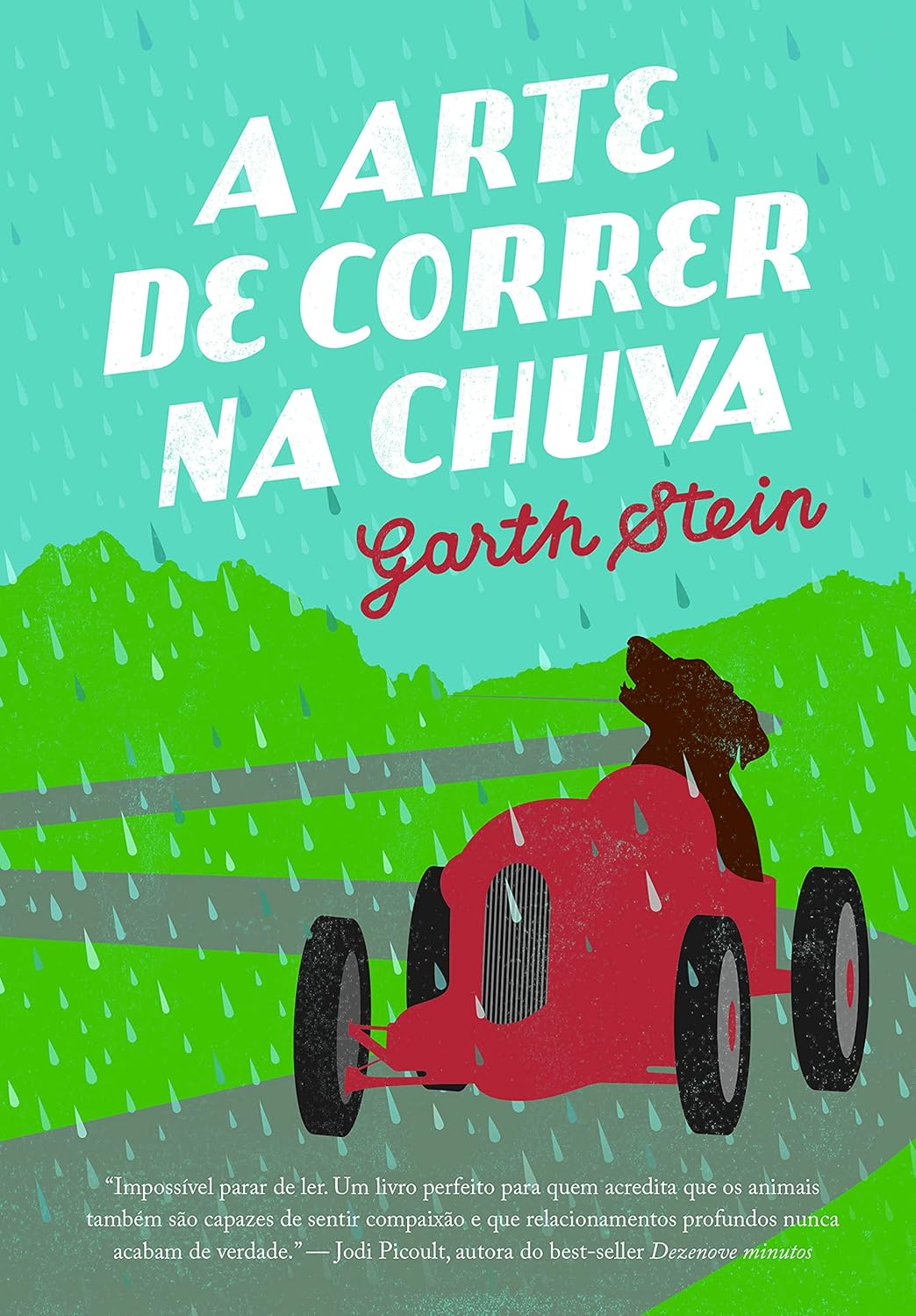 Avatar da comunidade A arte de correr na chuva, A Capa Pode Variar