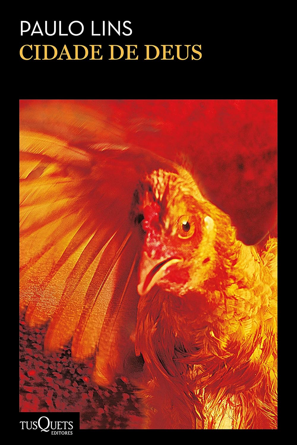 Avatar da comunidade Cidade de Deus