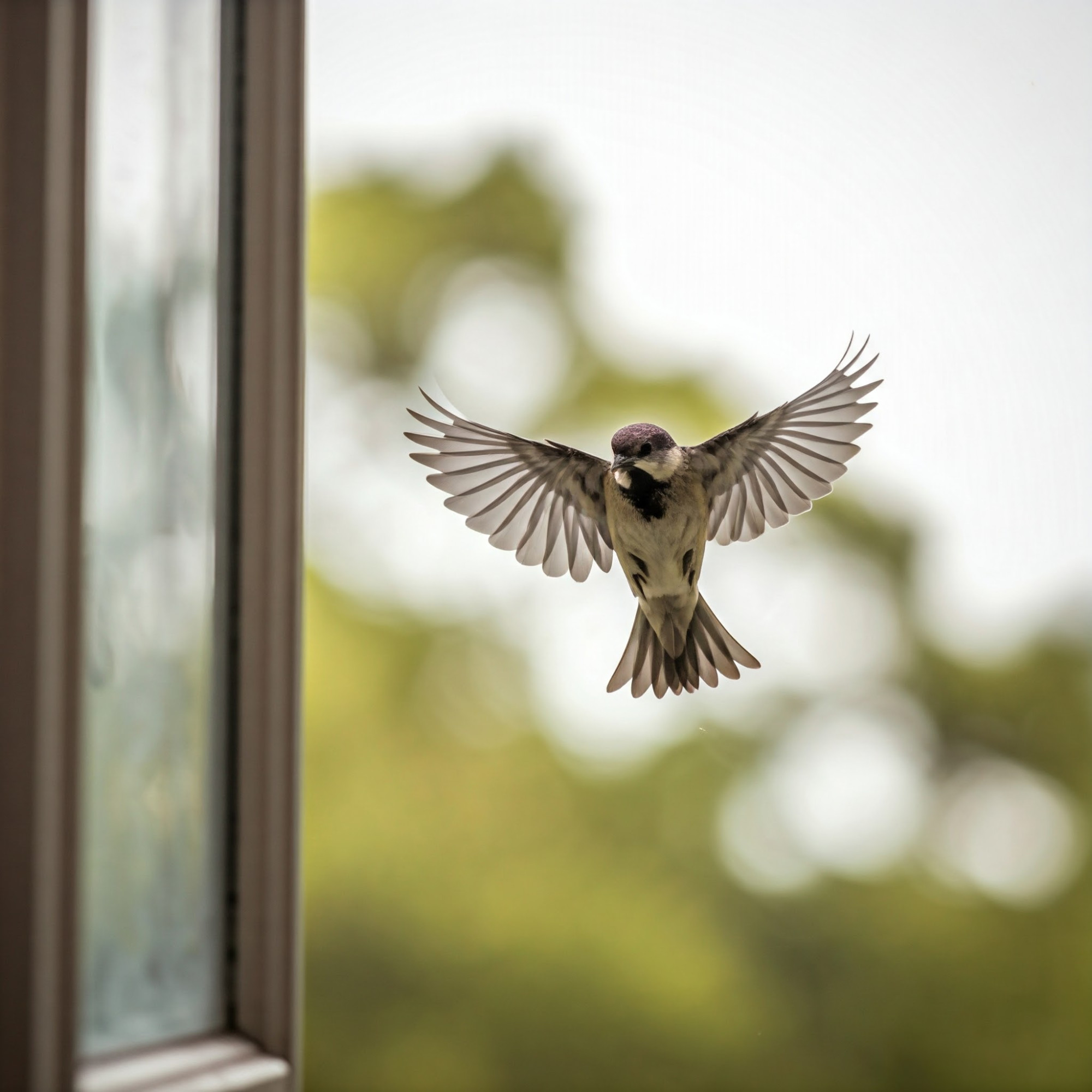#desafio - 18

Pobre passarinho 
Com a asa quebrada 

Se lançou a um voo 
Tão longe de casa

Em seu voo rasante
Bateu na vidraça 

Obstáculo invisível 
Ilusão que maltrata.

Jusley Naiane