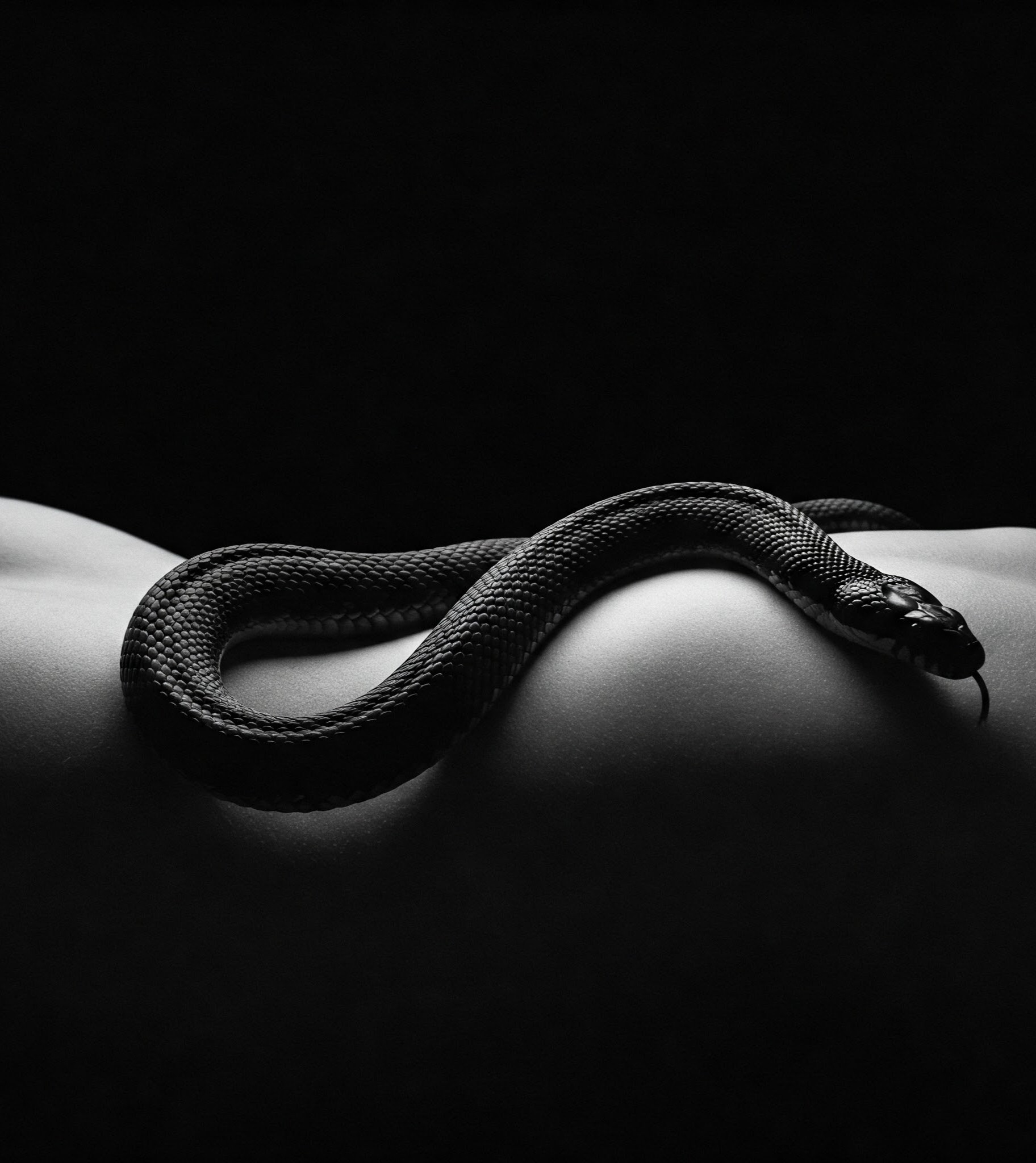 #desafio - 29

Como serpente
Suas mãos percorrem o
Meu corpo quente.

Jusley Naiane