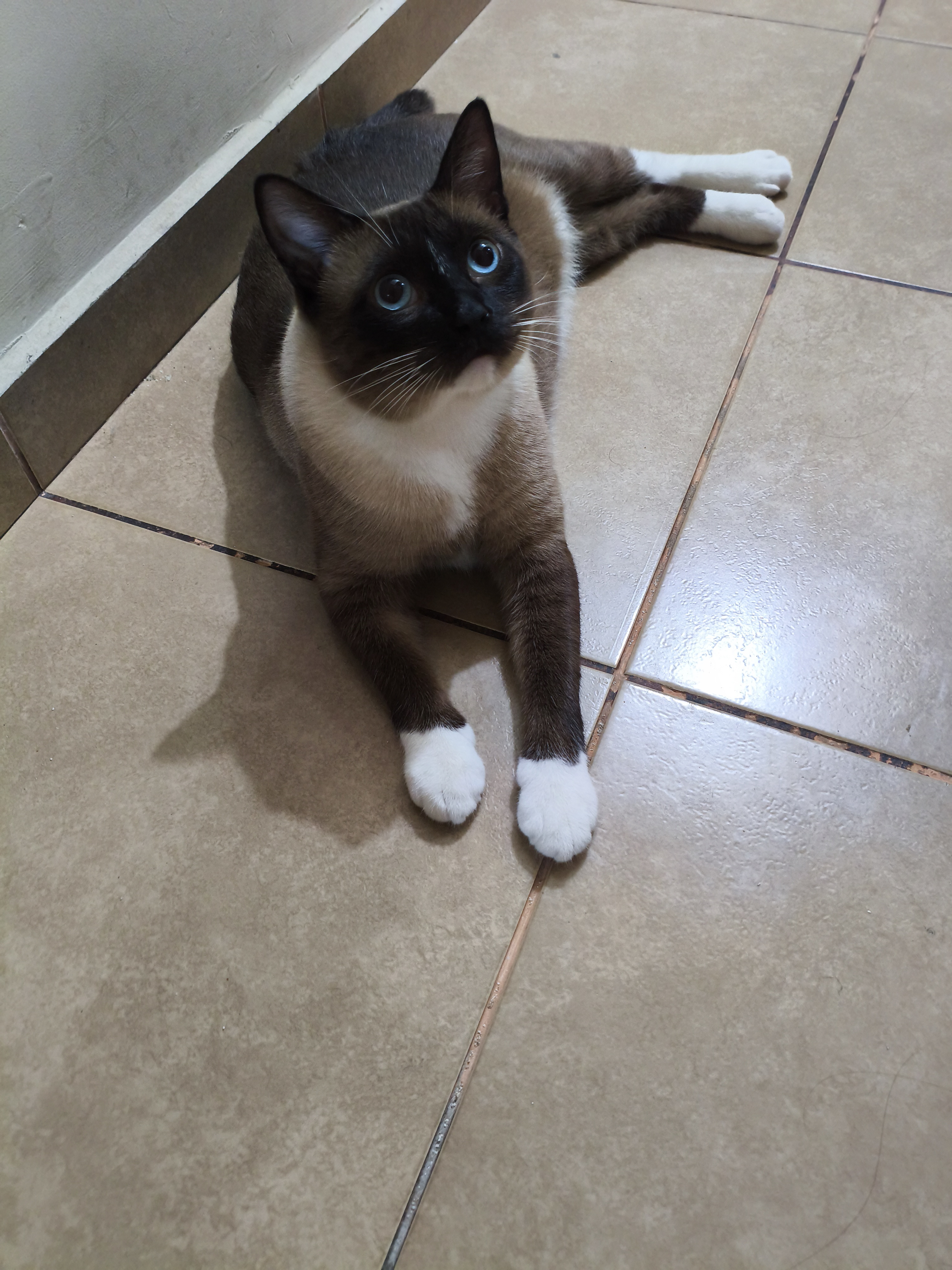 Eu quero carinho, mas nem tanto...
Eu te amo mais nem sempre...
Te quero, mas depende...
Respeite meu vivenciar!