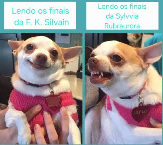 Não sabe o que vai ler? Dependendo de como você quer ficar depois da leitura, pode escolher entre meus livros e os da @sylvviarubra 
(Atenção que farei mais memes)
