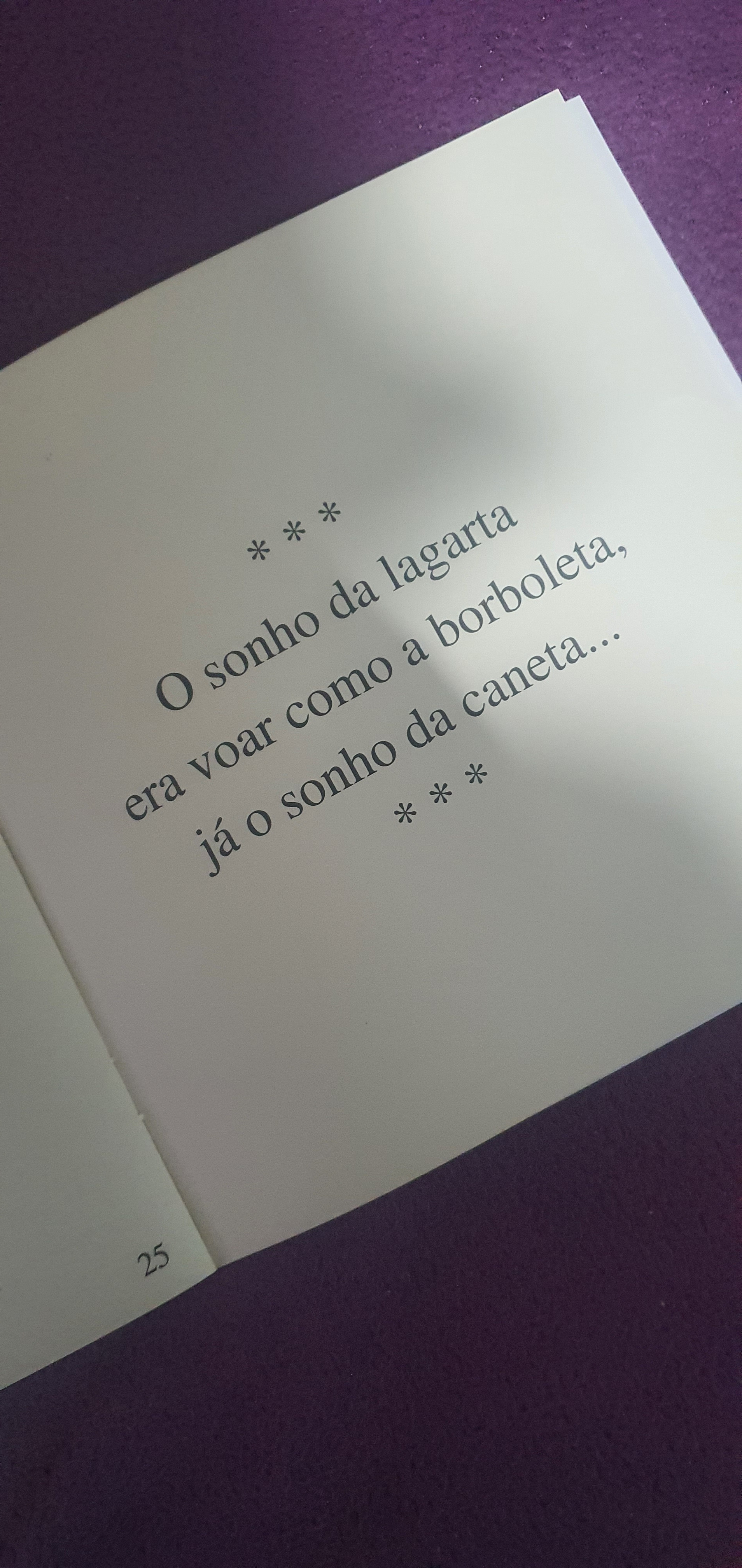 LIVRO:
...PEQUENOS BENS PEQUENOS...
JJr.