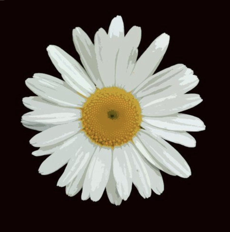 ~♡~

My little flower
Eyes and petals
daisy
With your skin
Peach
Rejoice my
Your
Thoughts
The glow of the face
At sunrise
Darkens the sky 
The firmament
Your color is rosy
Love fluff
You wearing a dress
Free on the breeze
Free locks
Do it without braids
The ties of the heart.

~♡~

Minha florzinha
Olhos e petalas
de margarida
Com tua pele
Pêssego
Alegra meus
Teus
Pensamentos
O brilho da face
Ao raiar do sol
Ofusca o céu 
O firmamento
Róseo tua cor
Penugem de amor
Tua veste vestido
Livre sobre a brisa
Livres madeixas
Faz-sem tranças
Os laços do coração. 

~♡~

JJr.