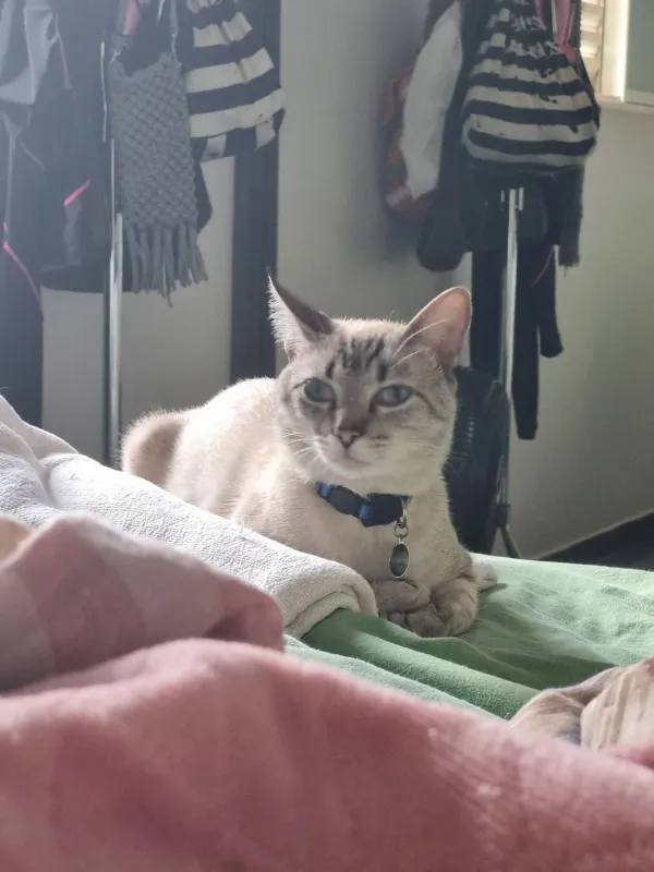 Foto de quem "nao fez nada de errado"

https://www.threads.com/@marcellaalbuq.autora/post/DVJnbHbCT4j?xmt=AQF0ImnNTd6jlbvMwJOiYm8ZGpDxPFJXUhPmfmrEcfk7jw